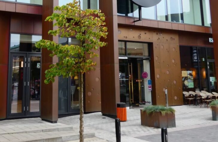 entreprenør Aalborg
